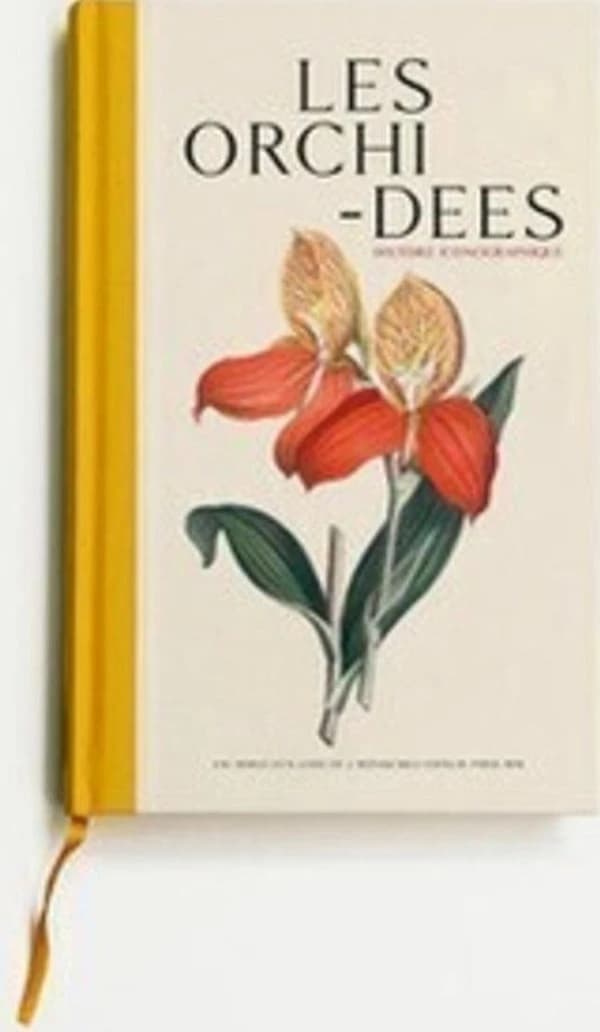 Les orchidées