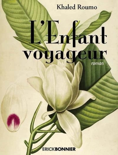 L'enfant voyageur : roman