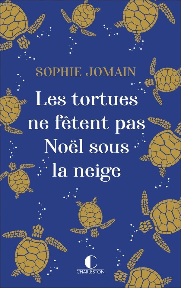 Les tortues ne fêtent pas Noël sous la neige : roman
