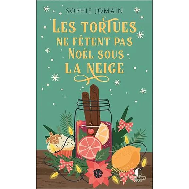 Les tortues ne fêtent pas Noël sous la neige : roman
