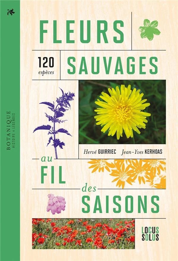 Fleurs sauvages au fil des saisons : botanique, histoire, légendes