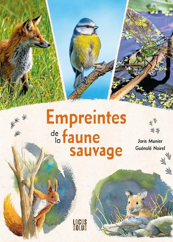 Empreintes de la faune sauvage
