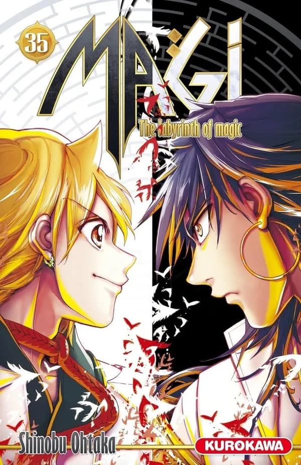 Magi : the labyrinth of magic. 35