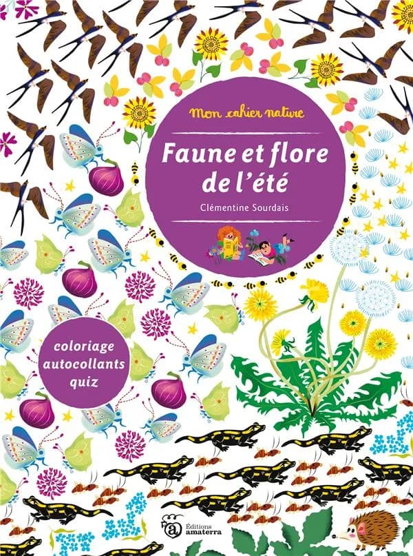 Faune et flore de l'été : Coloriage, autocollants, quiz : [Album à colorier]
