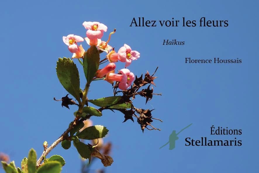 Allez voir les fleurs : haïkus