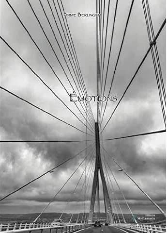 Émotions : poèmes