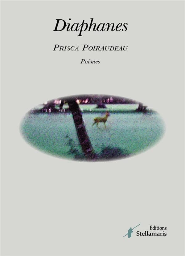 Diaphanes : poèmes