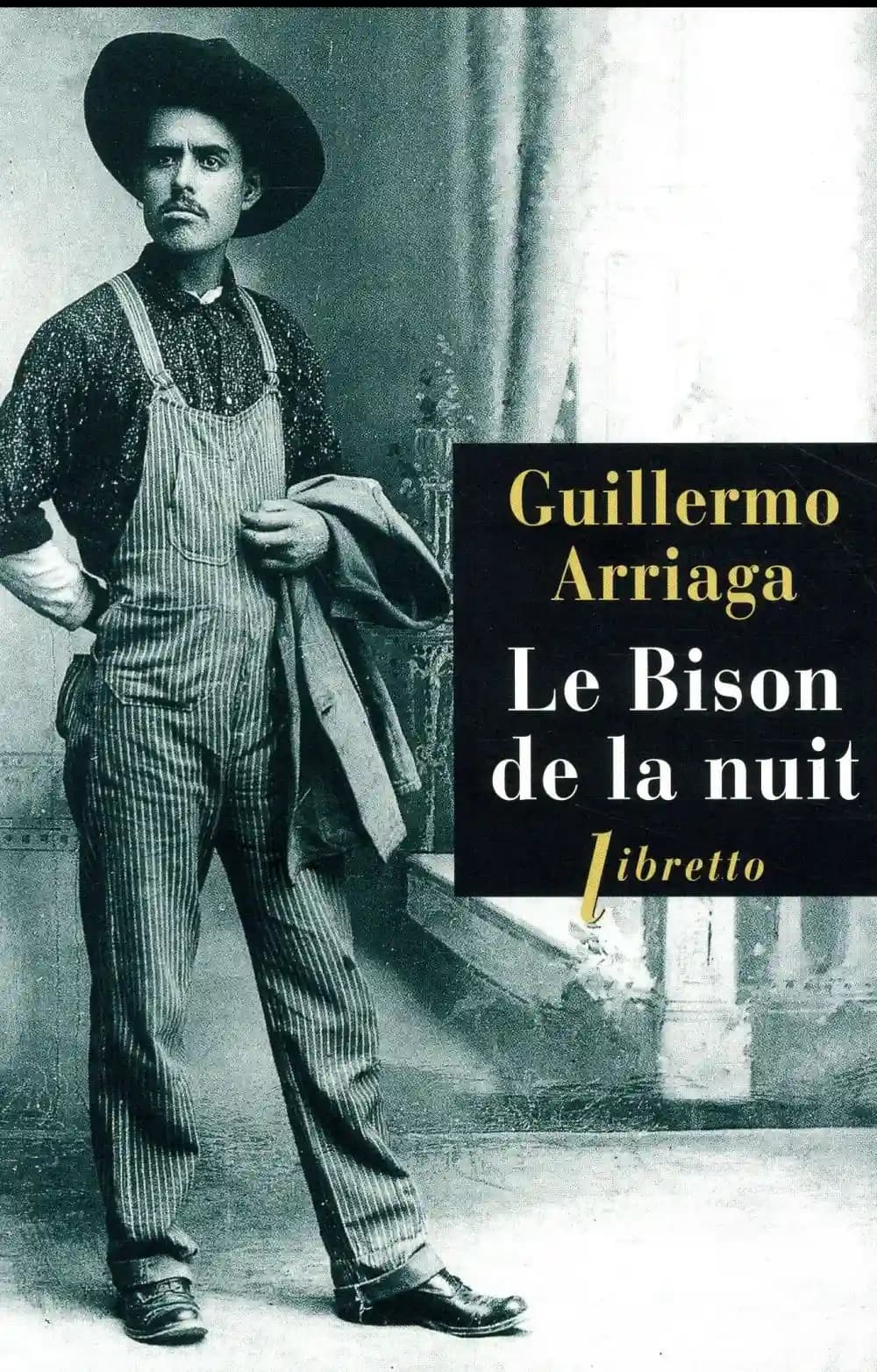 Le bison de la nuit : roman
