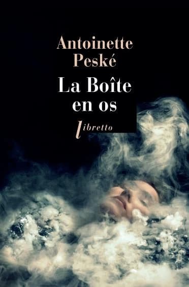 La boîte en os : roman