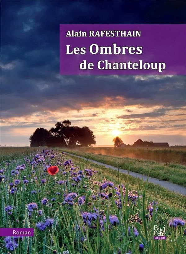 Les ombres de Chanteloup : roman