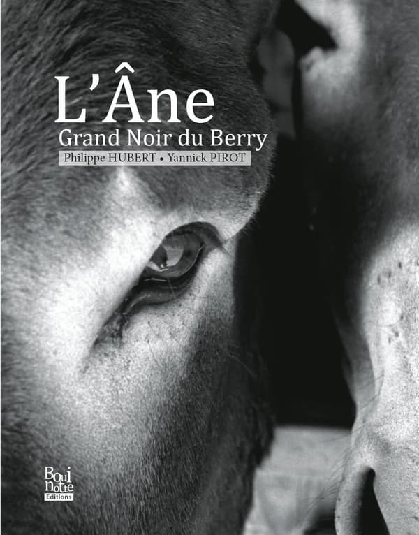 L'âne grand noir du Berry