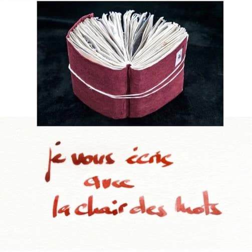 Je vous écris avec la chair des mots