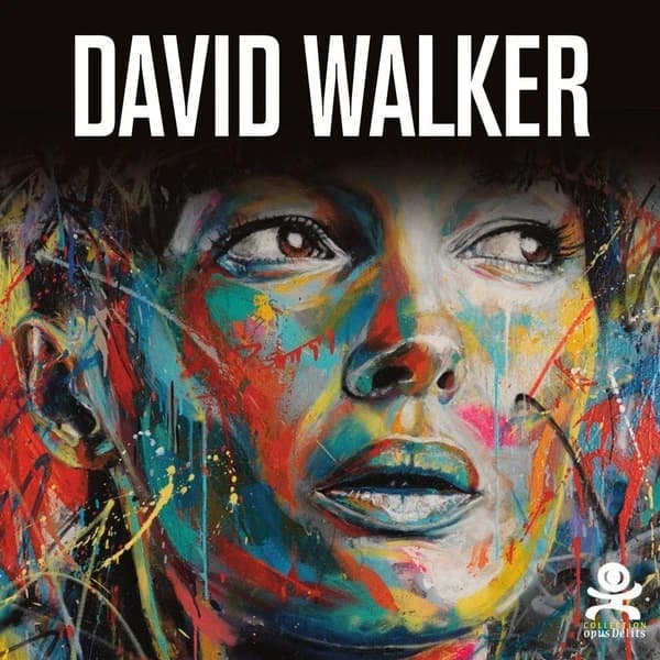 David Walker - Beautiful Chaos : Opus délits 47