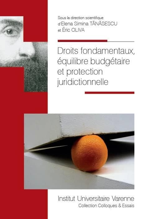 Droits fondamentaux, équilibre budgétaire et protection juridictionnelle : [actes de la journée d'études du 12 juin 2015]