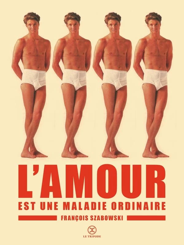L'amour est une maladie ordinaire : roman