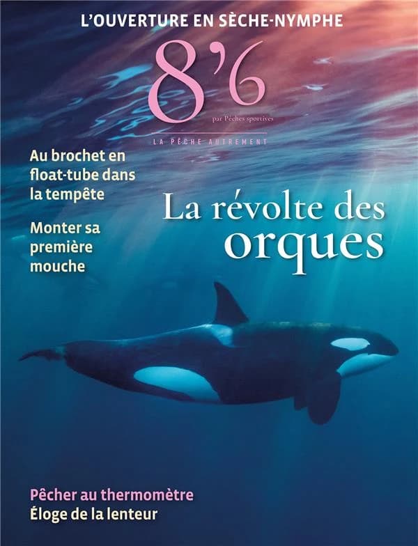 8'6 par pêches sportives n.24 : La révolte des orques