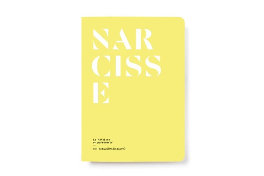 Narcisse : le narcisse en parfumerie