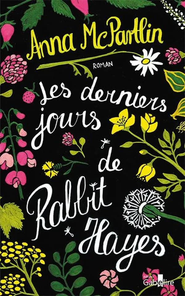 Les derniers jours de Rabbit Hayes ([Éd. en gros caractères]) Anna McPartlin ; traduit de l'anglais (Irlande) par Valérie Le Plouhinec