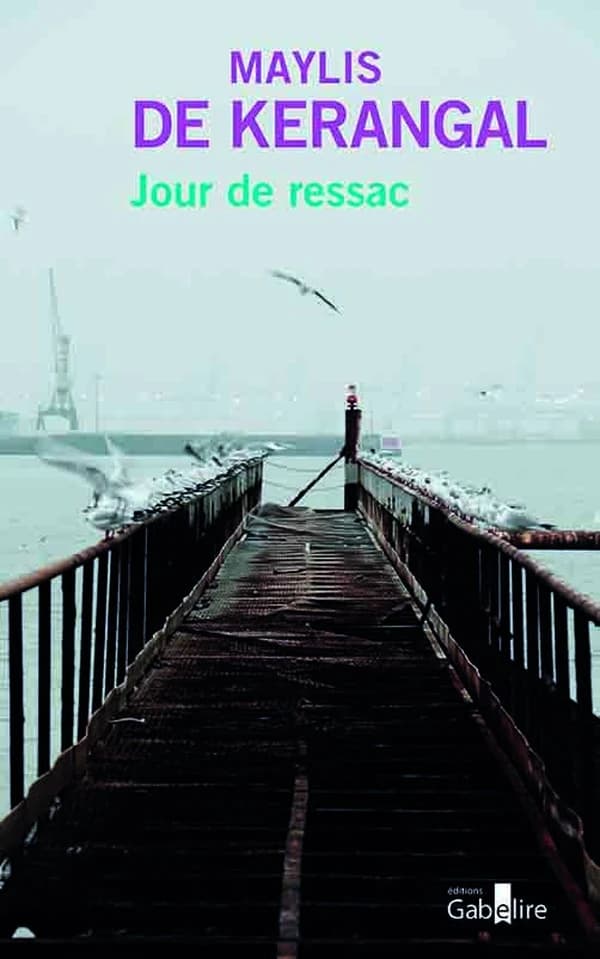 Jour de ressac : roman ([Éd. en gros caractères]) Maylis de Kerangal