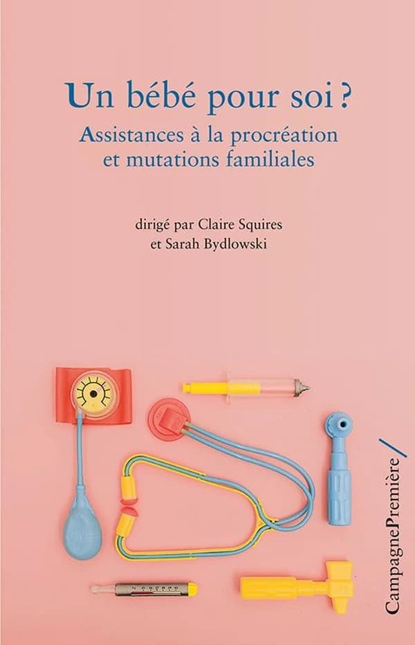Un bébé pour soi ? : assistances à la procréation et mutations familiales