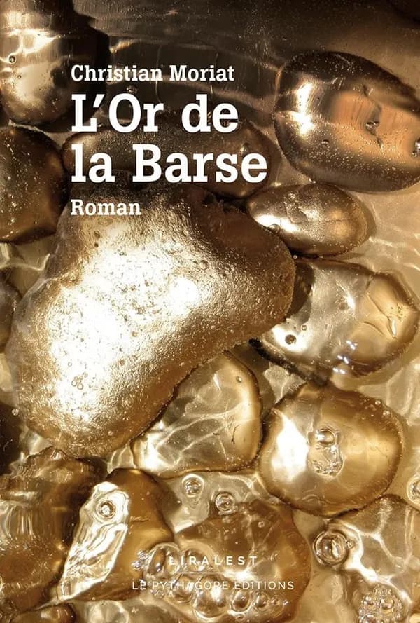 L'or de la Barse : roman