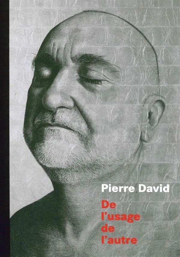 Pierre David, De l'usage de l'autre : une exposition au Musée des beaux-arts de Chambéry, [21 mai-18 septembre 2016]