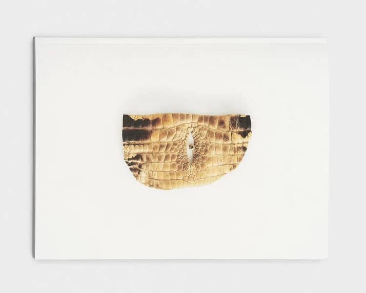 Étienne Chambaud : [exposition, Villeneuve-d'Ascq, LAM, Lille métropole-Musée d'art moderne, d'art contemporain et d'art brut, 7 octobre 2022-22 janvier 2023]