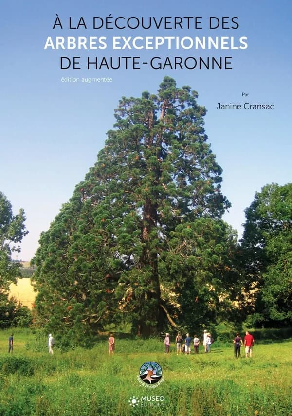 À la découverte des arbres exceptionnels de Haute-Garonne