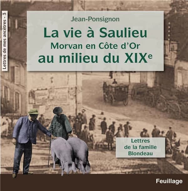 La vie à Saulieu en Morvan, Côte-d'Or, au milieu du XIXe siècle : lettres de la famille Blondeau