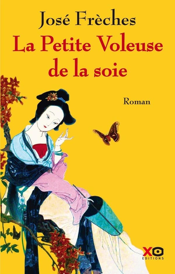 La petite voleuse de la soie : roman