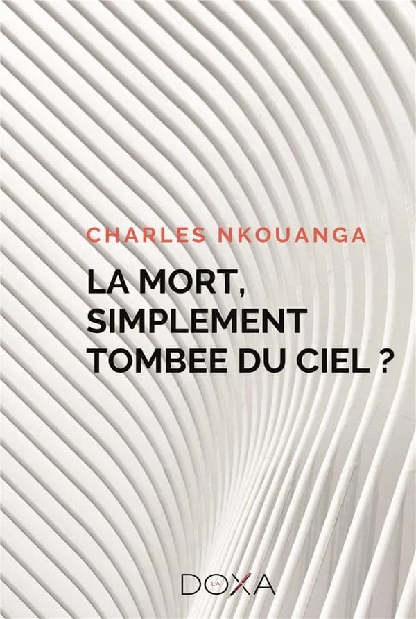 La mort, simplement tombée du ciel ? : roman