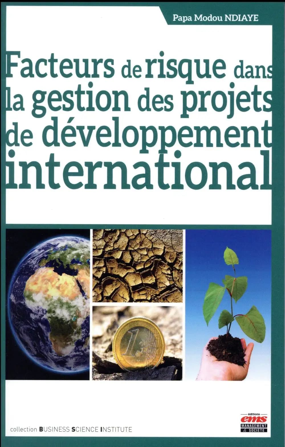 Facteurs de risque dans la gestion des projets de développement international