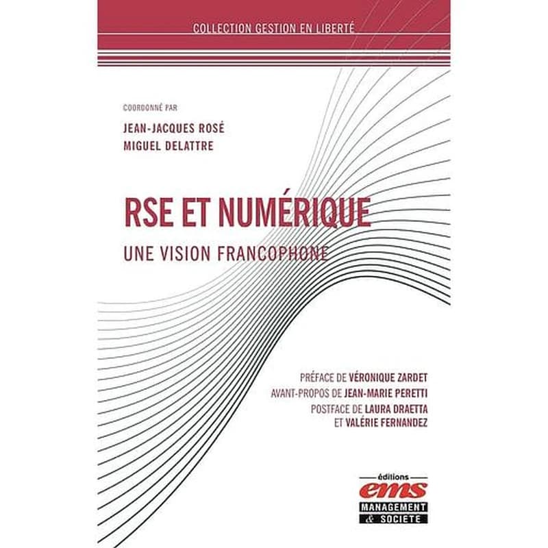 RSE et numérique : une vision francophone