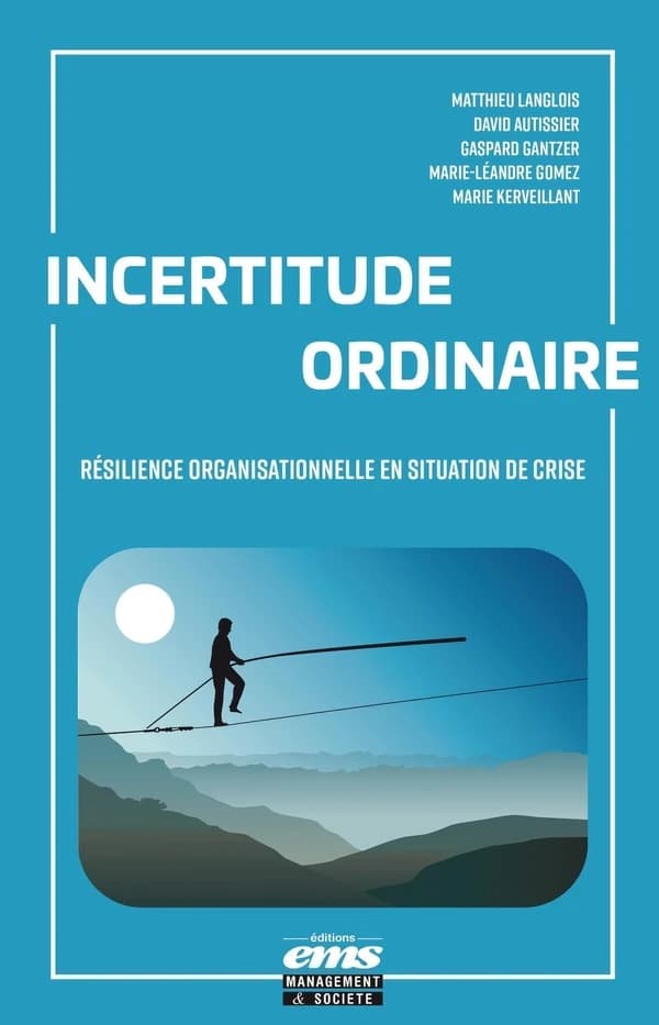 Incertitude ordinaire : résilience organisationnelle en situation de crise