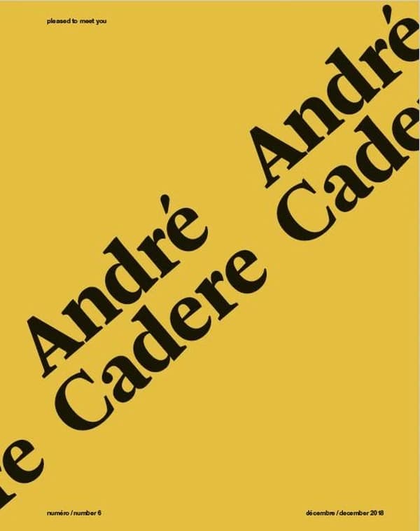 Pleased to meet you n.6 : André Cadere