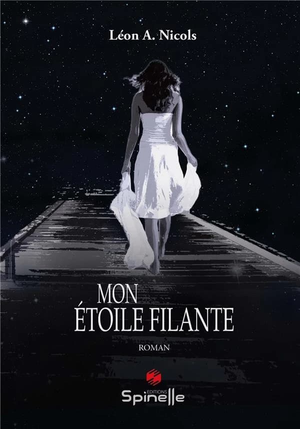 Mon étoile filante : roman