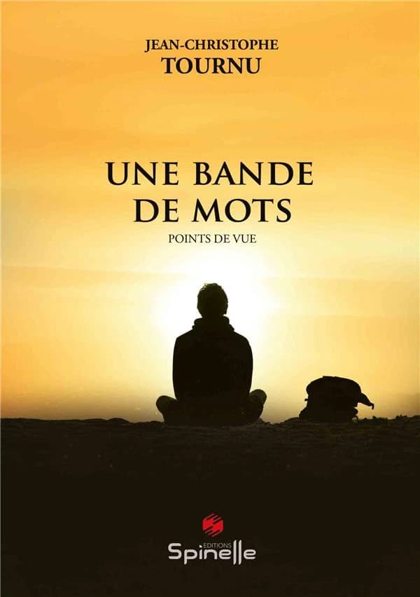 Une bande de mots : points de vue