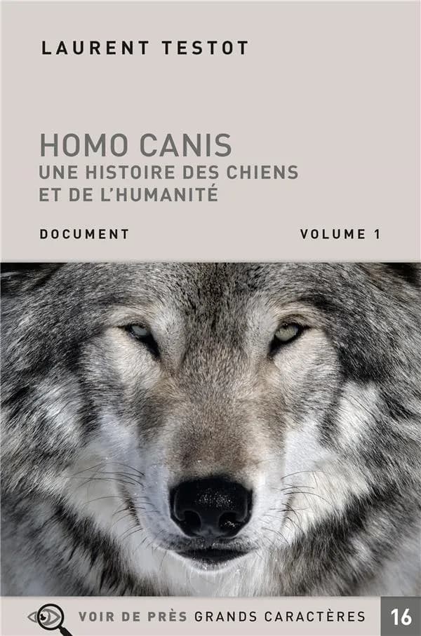 Homo canis : une histoire des chiens et de l'humanité : document ([Éd. en] grands caractères) Laurent Testot