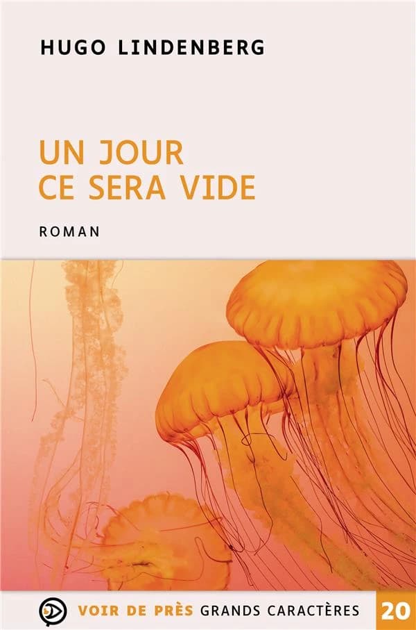 Un jour ce sera vide ([Éd. en] gros caractères) Hugo Lindenberg