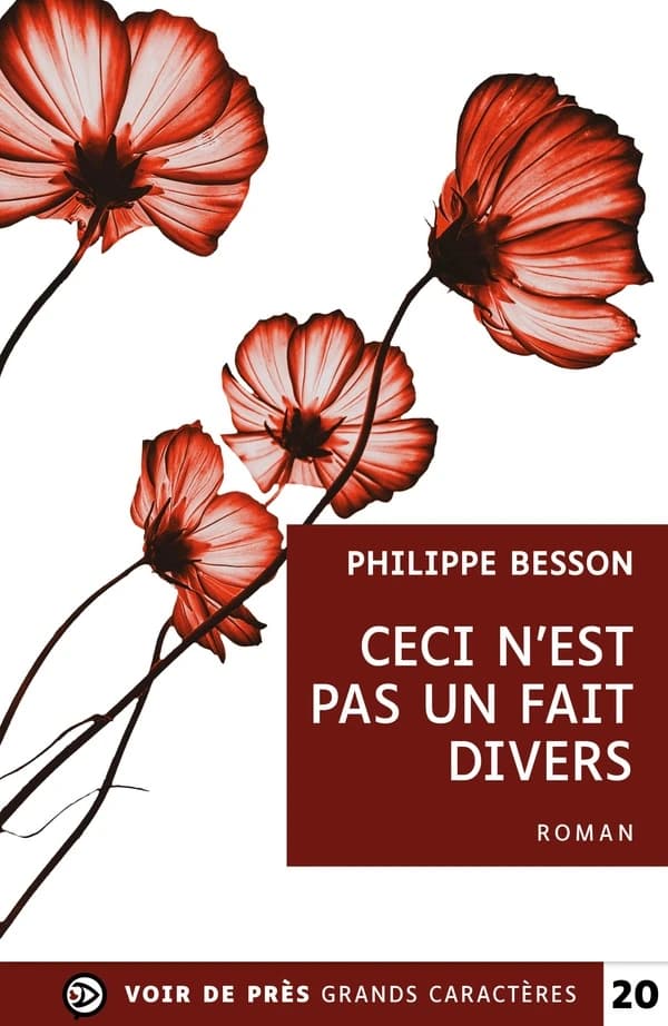 Ceci n'est pas un fait divers : roman ([Éd.] en grands caractères) Philippe Besson