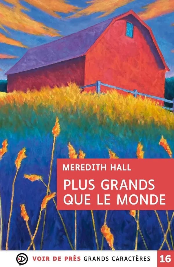 Plus grands que le monde : roman (Éd. en grands caractères) Meredith Hall ; traduit de l'anglais (États-Unis) par Laurence Richard