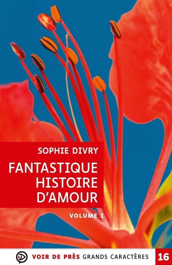 Fantastique histoire d'amour : roman (Éd. en grands caractères) Sophie Divry