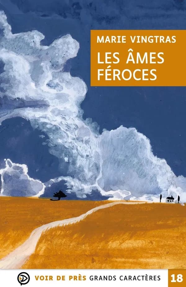 Les âmes féroces : roman (Éd. en grands caractères) Marie Vingtras