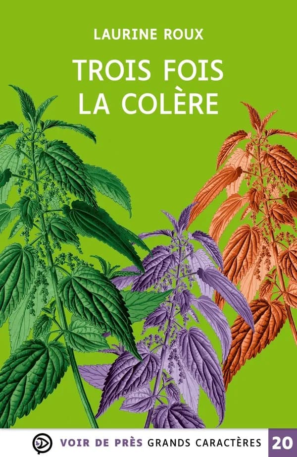 Trois fois la colère (Édition adaptée en grands caractères) Laurine Roux