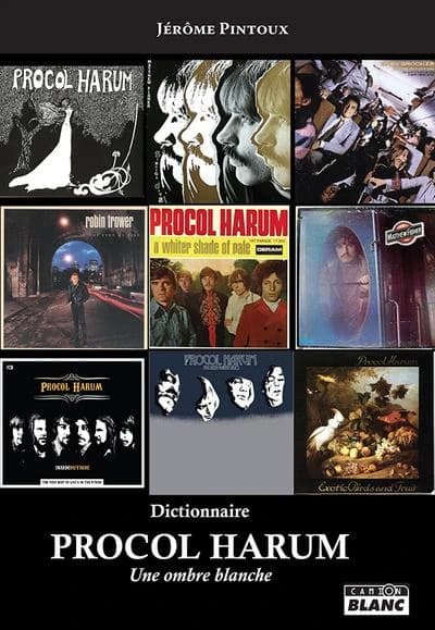 Dictionnaire Procol Harum : une ombre blanche