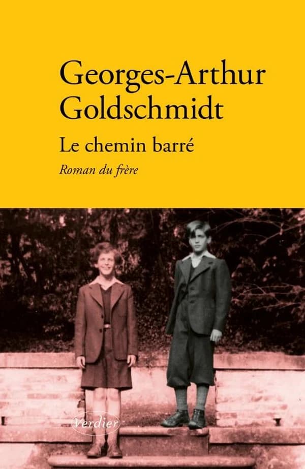 Le chemin barré : roman du frère... ; suivi de À la recherche du frère perdu : entretien de l'auteur avec Jean-Yves Masson