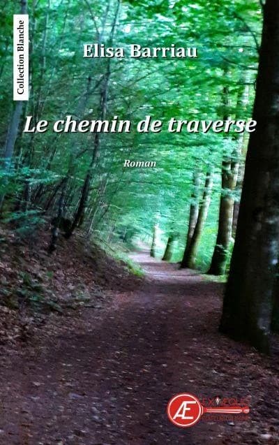Le chemin de traverse : roman