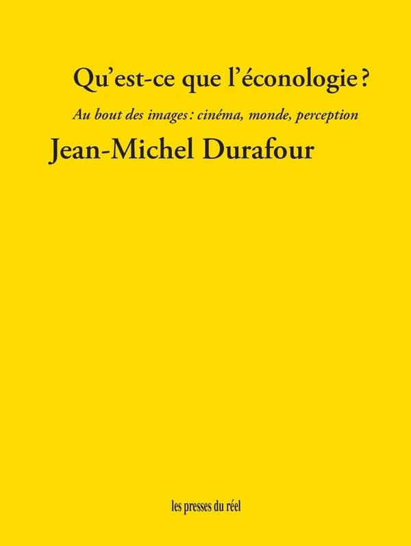 Qu'est-ce que l'éconologie? : au bout des images : cinéma, monde, perception