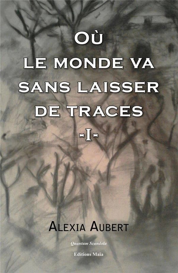 Où le monde va sans laisser de traces. I