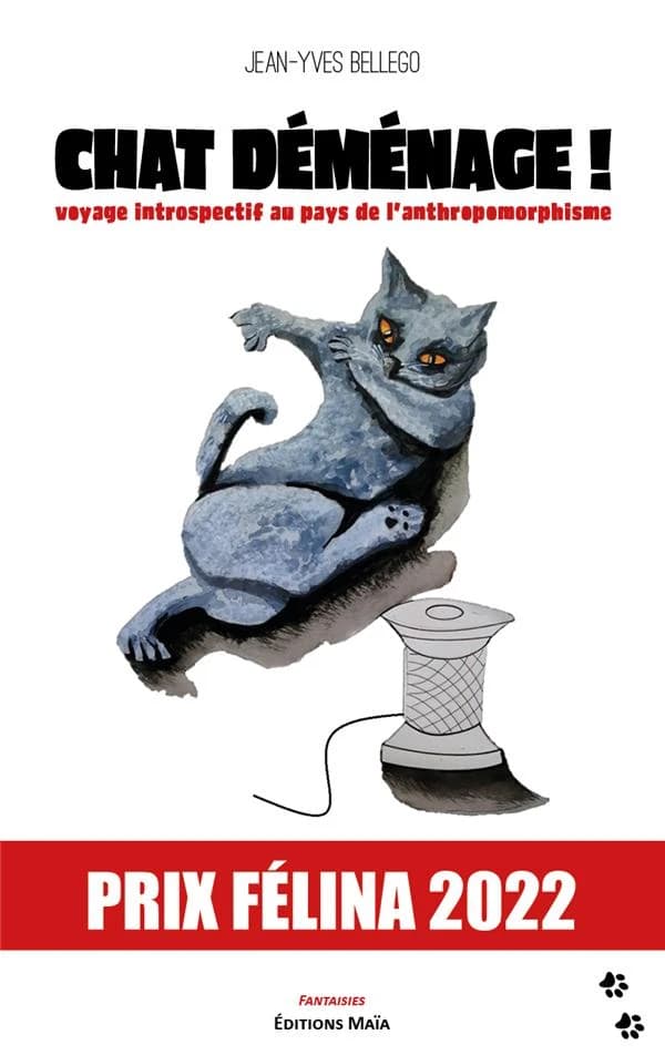 Chat déménage : voyage introspectif au pays de l'anthropomorphisme